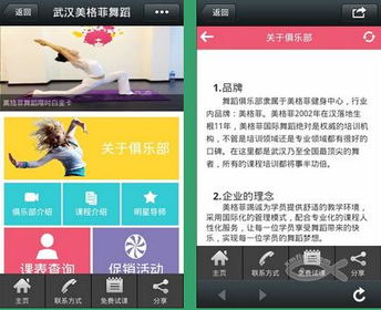 厦门网站建设与微信营销 企业数字化转型的双引擎