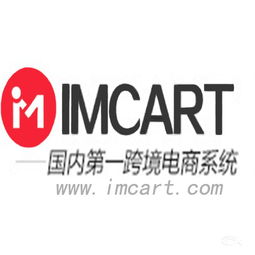 厦门网站建设 跨境电商系统价格实惠，助力企业扬帆出海