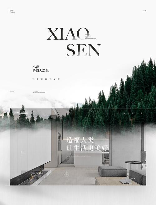 企业官网视觉厦门高端网站建设服务